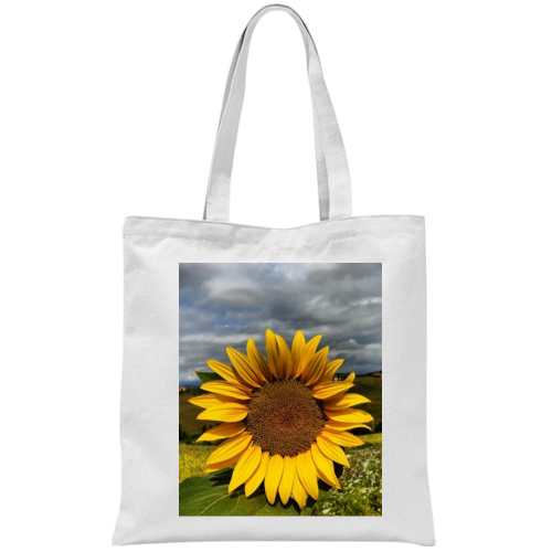 Borsa