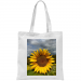 Borsa 17.50 &euro;