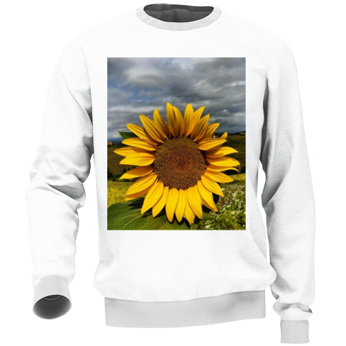 Felpa Unisex