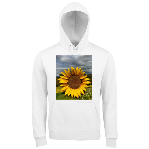Hoodie Premium Men