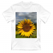 Children's T-Shirt 22.50 &euro;