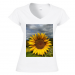 Women's V-Neck T-Shirt 26.25 &euro;