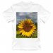 Women's T-Shirt 21.25 &euro;