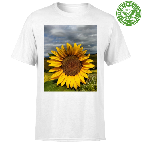 T-Shirt Bambino Organic
