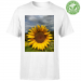 Organic Baby T-Shirt 24.90 &euro;
