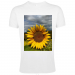 Men Fit T-Shirt 24.90 &euro;