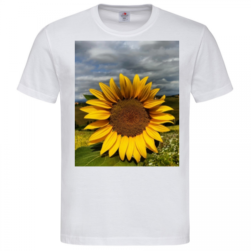 T-Shirt Men Premium 