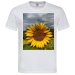 T-Shirt Men Premium  24.90 &euro;