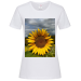 T-Shirt Women Premium  24.90 &euro;