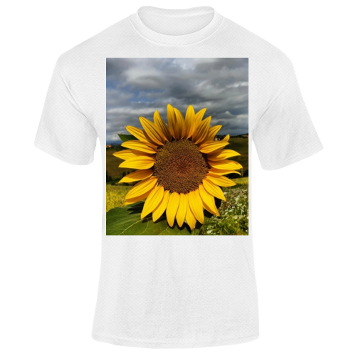 T-Shirt Unisex Dry Sport