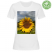 Woman Organic T-Shirt 22.90 &euro;