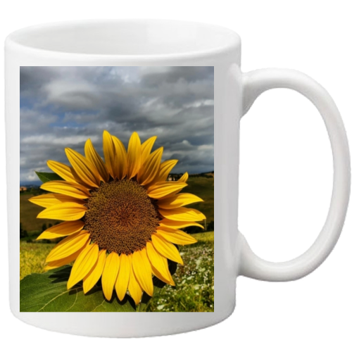 Tazza
