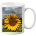 Cup 13.75 &euro;