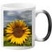 Magic Mug 19.75 &euro;