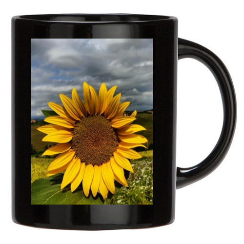 Tazza Nera
