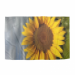 Beach Towel 100x150 41.75 &euro;