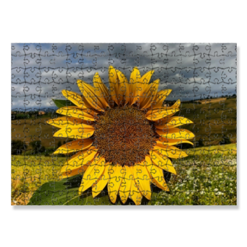 Puzzle 30x40