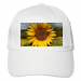 Hemp Baseball Cap 20.90 &euro;
