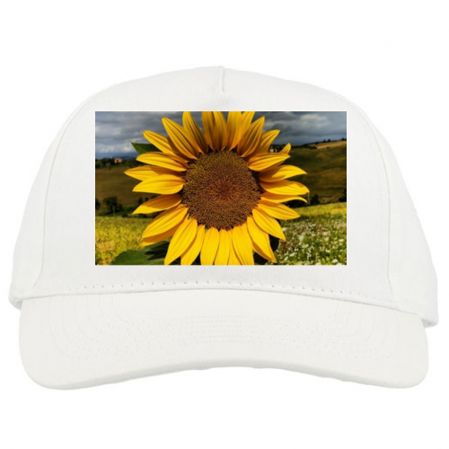 Baseball Cap Premium