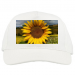 Baseball Caps 19.90 &euro;