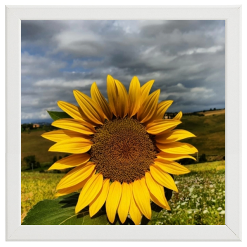 Poster con Cornice 40x40