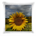 Pailettes pillow 24.90 &euro;