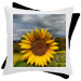 Bicolor pillow 19.90 &euro;
