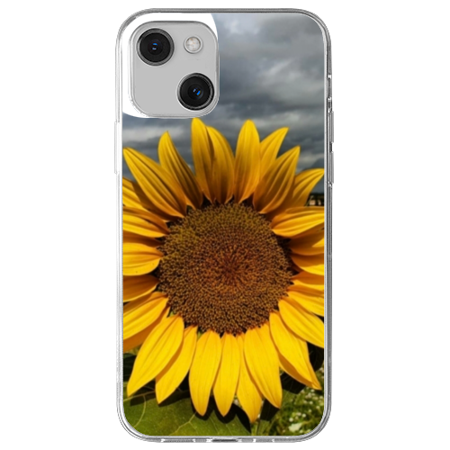 Cover Gomma iPhone 13