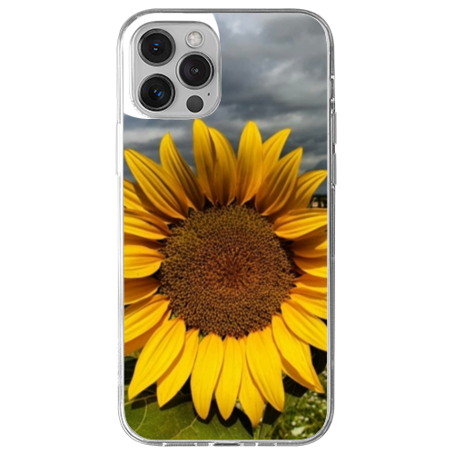 Cover Gomma iPhone 13 Pro