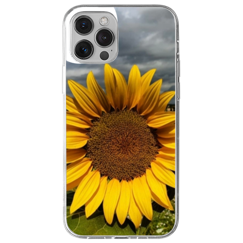 Cover Gomma iPhone 13 Pro Max