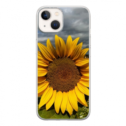 Cover Gomma iPhone 15 Plus