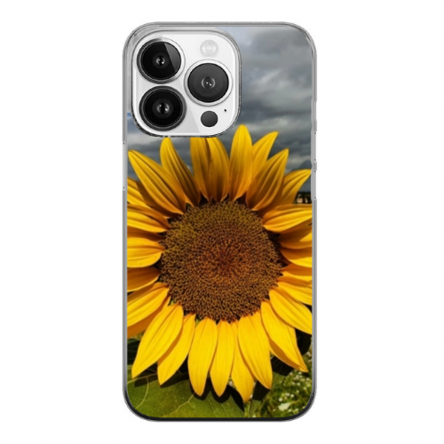 Cover Gomma iPhone 15 Pro Max