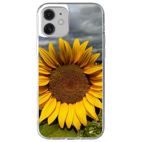 Cover Gomma iPhone 12