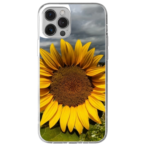 Cover Gomma iPhone 12 Pro