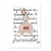 Poster 30x45 19.50 &euro;