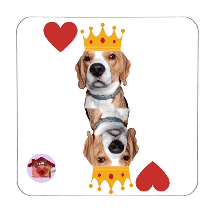 Calamita Re di cuori Ciro