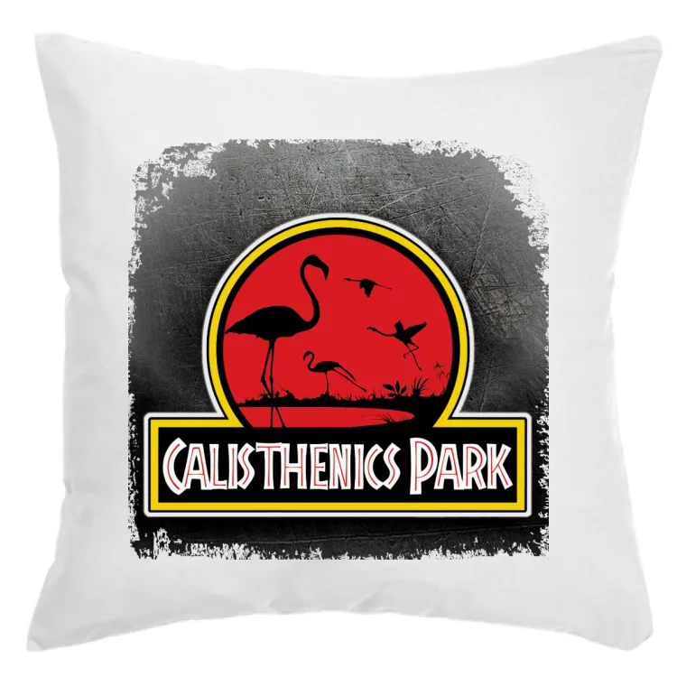 CALISTHENICS PARK il cuscino