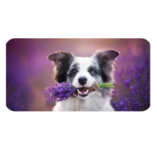 Mousepad XL
