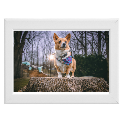 Poster con Cornice 30x20