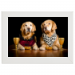 Poster con Cornice 45x30 35.00 &euro;