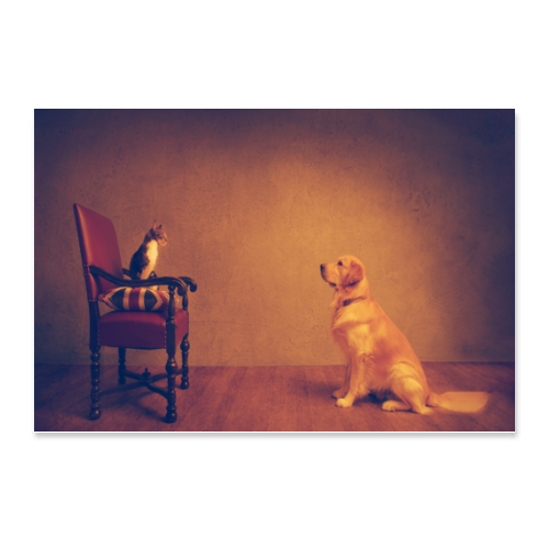 Poster 45x30