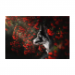 Canvas 30x20 20.00 &euro;