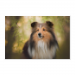 Poster 75x50 20.00 &euro;