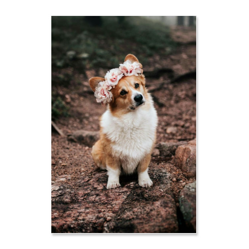Poster 30x45