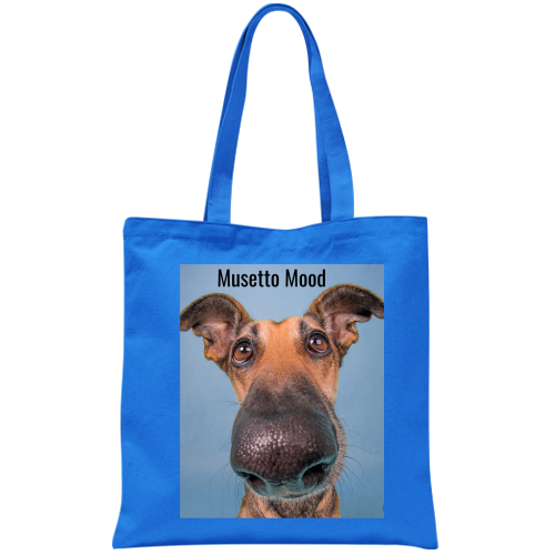 Borsa
