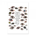 Poster 30x45 19.50 &euro;