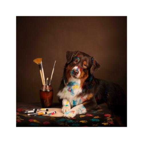Canvas 20x20
