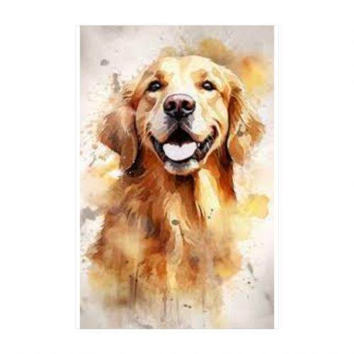 Canvas 20x30