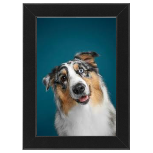 Poster con Cornice 20x30