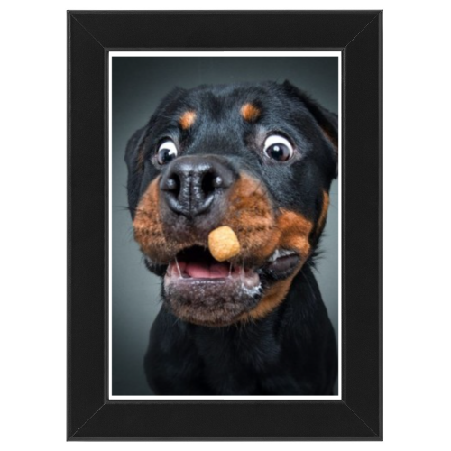 Poster con Cornice 20x30